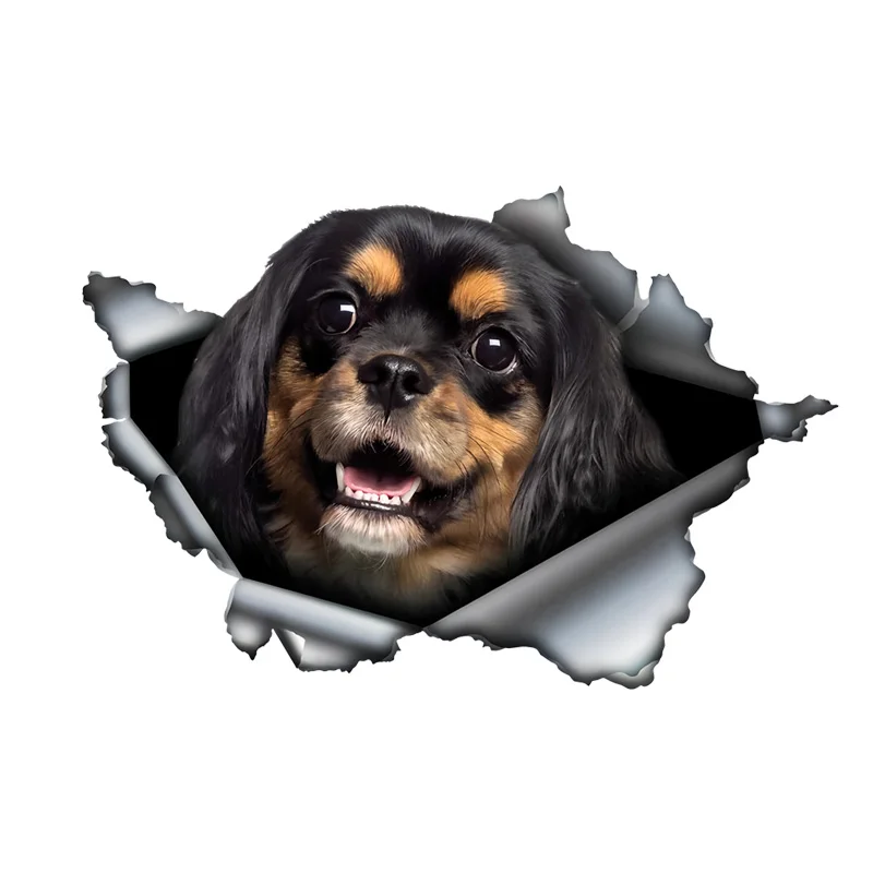 SK381# Black and Brown Cavalier King Dog 3D Vinyl Car Sticker, Fun Insurance Bumper Sticker for Cars, Trucks, Motorcycles, Walls