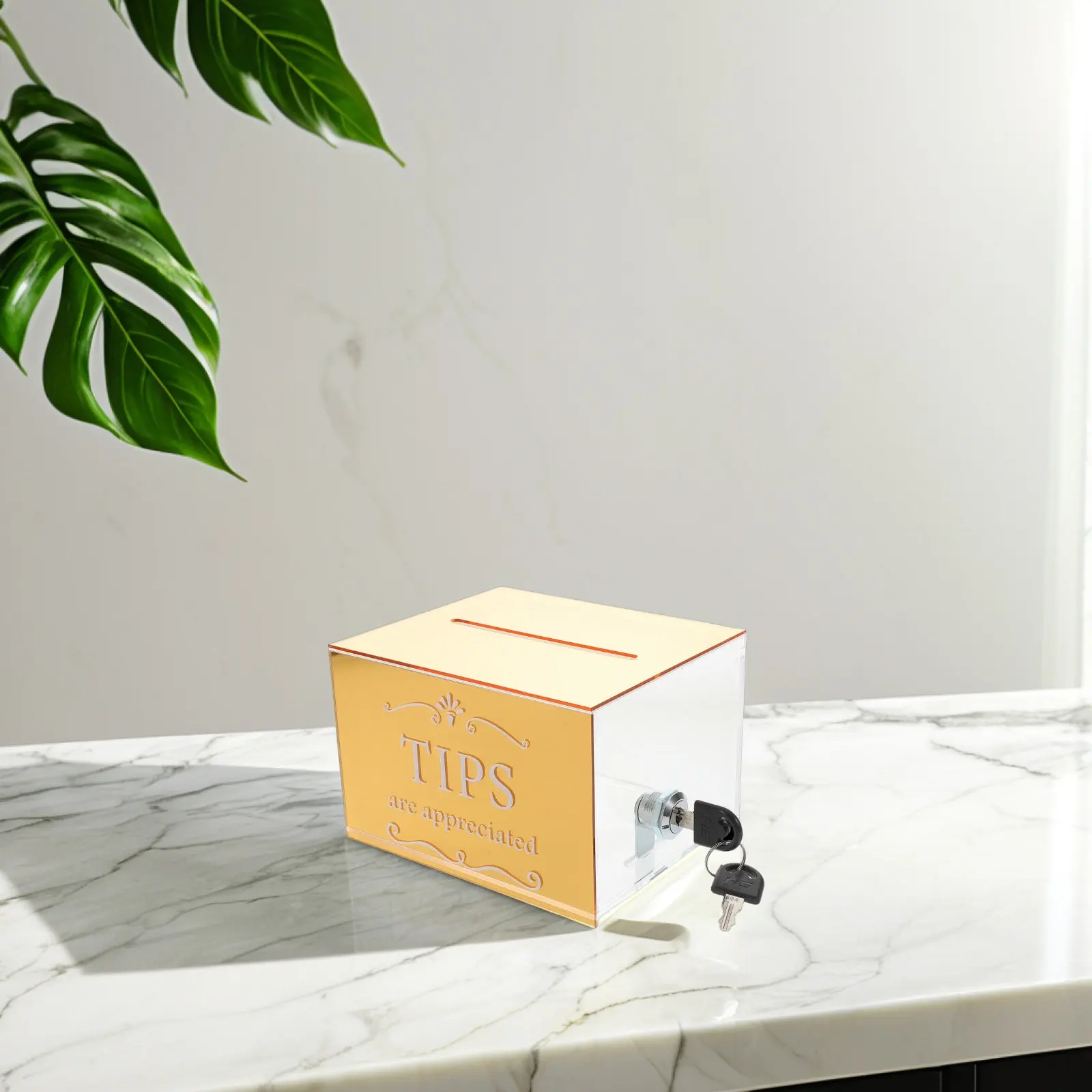 Acrylic Lock Container For Coffee Shop Tip Box Cashier Secure Clear Suggestion Donation Large Capacity