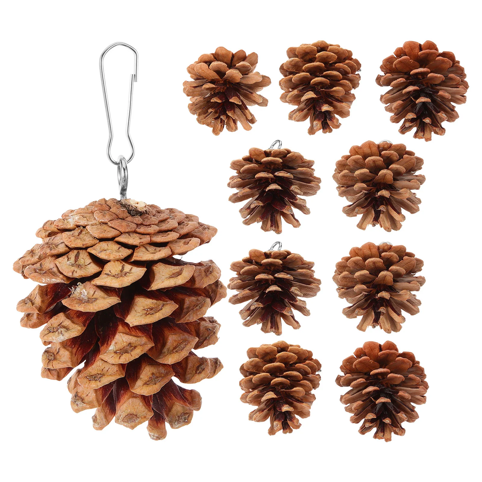 

10 Pcs Parrot Chewing Toy Bird Biting Foraging Toys Supplies Cage Hanging Bite-resistant Pine Cones