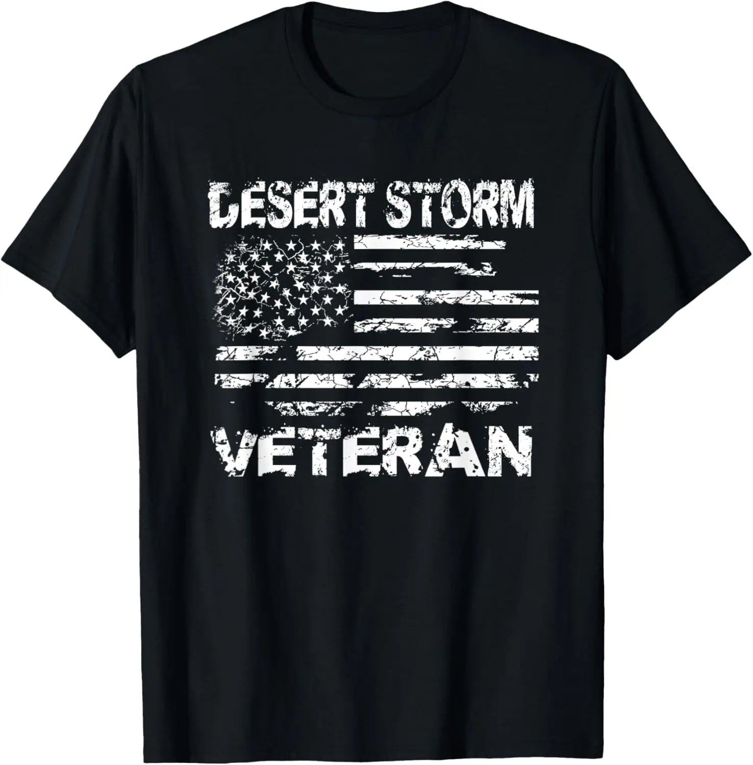 

Desert Storm Veteran