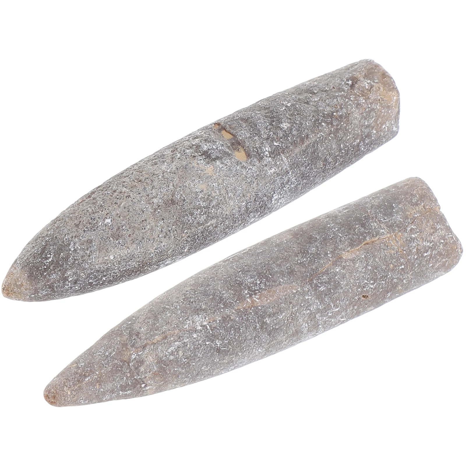 

Natural Belemnite Specimen Mineral Rock Paleontology Teaching Supply Education Decoration Geology Study Home Office