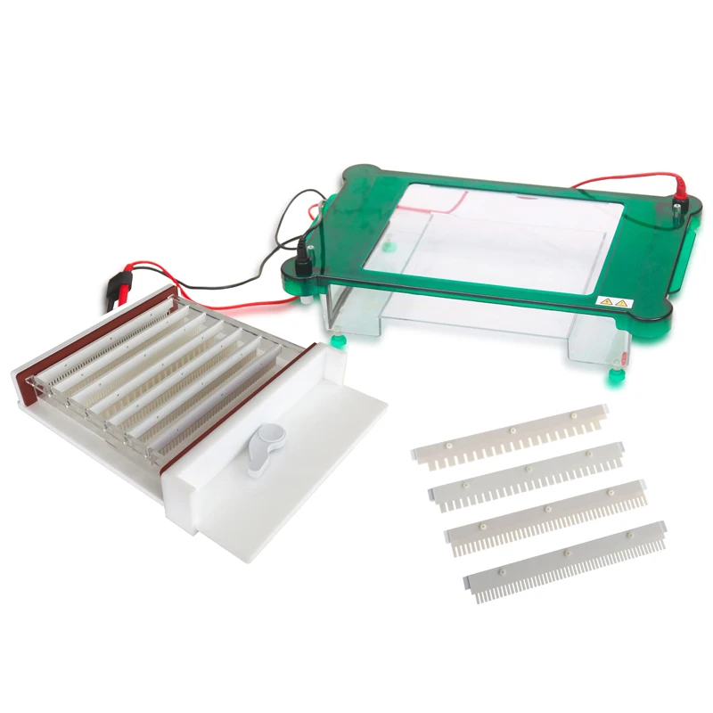 

Horizontal Electrophoresis Machine/Apparatus For Gene Test Dna Test Molecular Diagnosis