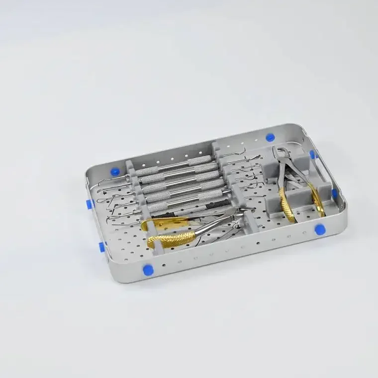 Factory Price Veterinary orthodontics instruments kit for small animal