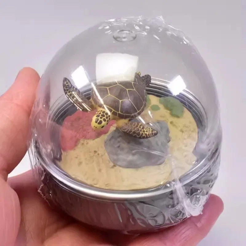 Oryginalna Kitan Snow Globe Crystal Ball Sea Turtle Marine Animal Penguin Garden Eel Figure Gashapon Kawaii Capsule Toys Model