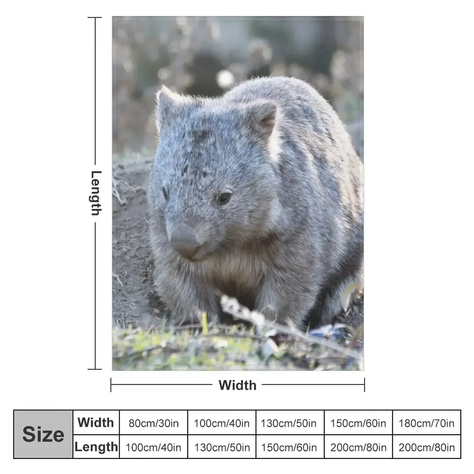 Wombat in the sun Throw Blanket Large Soft Furrys Beautifuls Blankets Sofas Of Decoration Luxury Throw Blankets