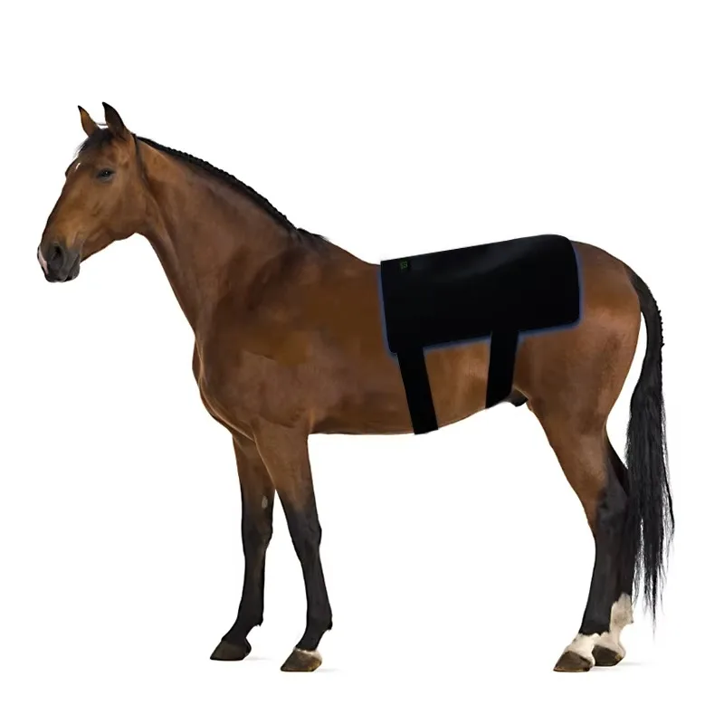 Wavelength Portable 440nm 660nm 850nm Horse Equine Therapy Blue Light Therapy Pads for Horses Back