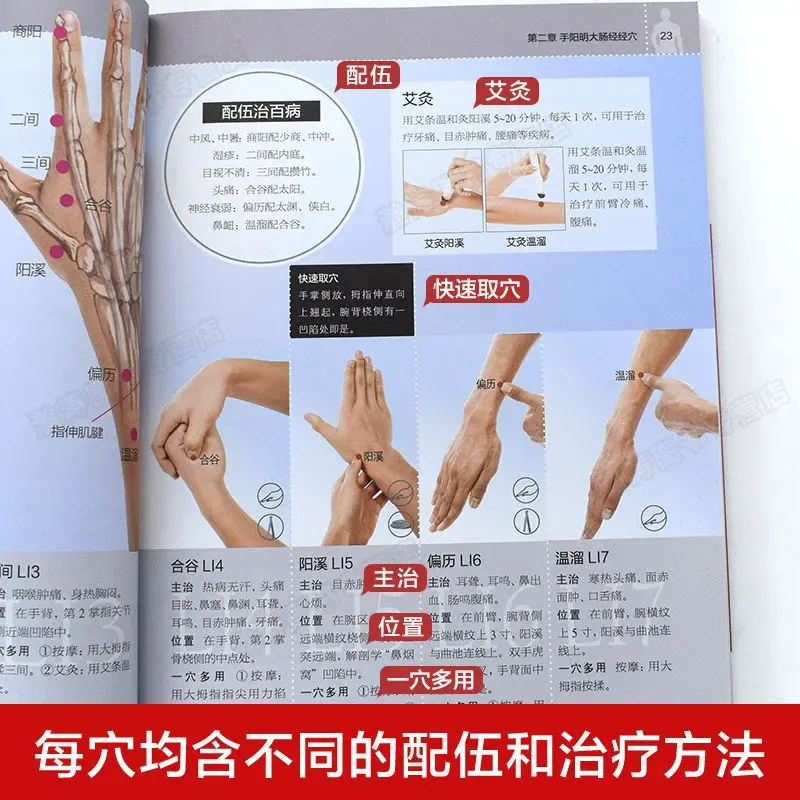 Meridian Acupoint Essence Atlas Wu Zhongchao Human Meridian Acupuncture Point Map Whole Body Traditional Chinese Medicine Health