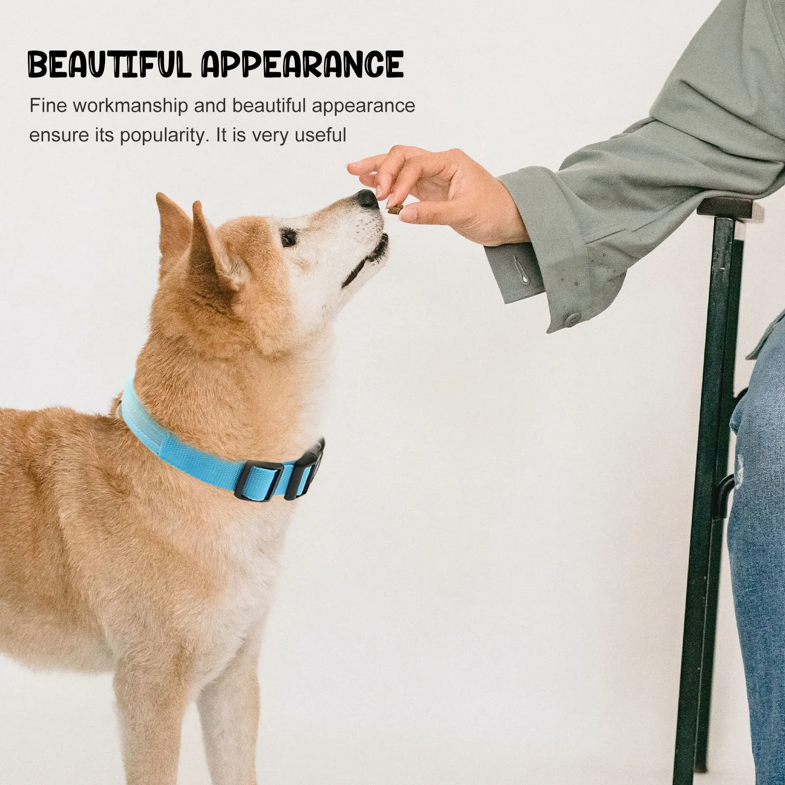 

1Set Pet Glowing Collar Adjustable High Grade Safe Durable Dog Collar Glowing Night Use Puppy Neck Adornment Pet Neck Decoration