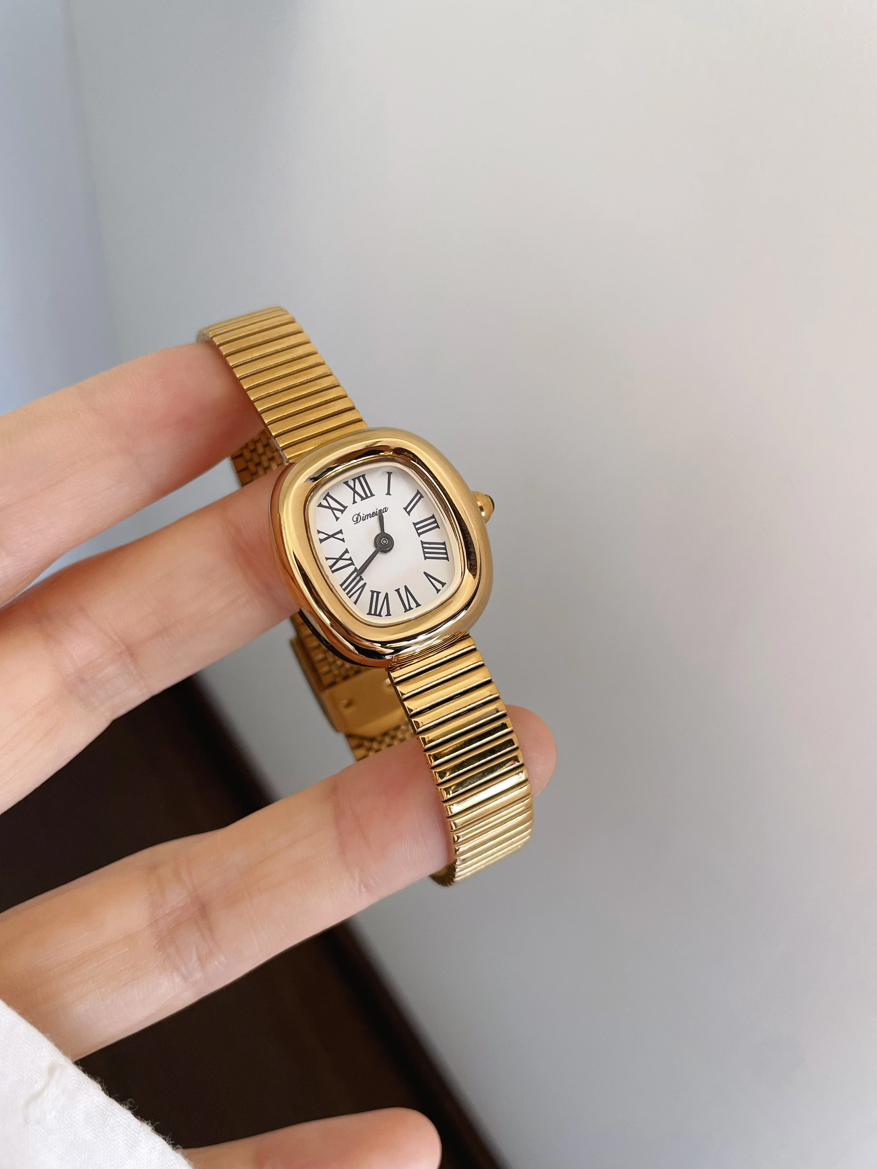 2026 New Model: Women's Elegant Quartz Watch with Oval Small Dial and Stainless Steel Mesh Strap—A Perfect Gift for Women