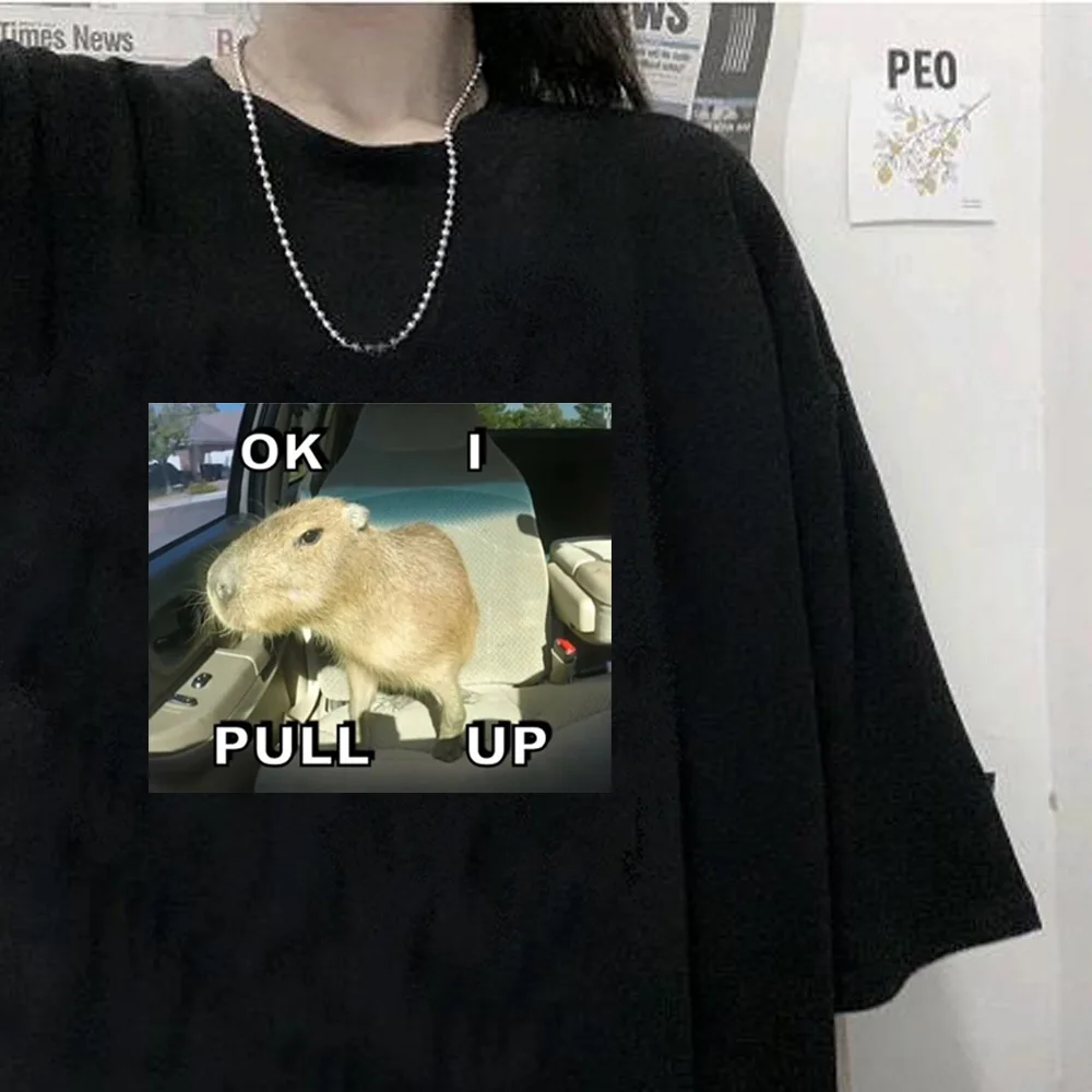 Capybara shirt teen Trendy Graphic anime Breathable Colorful aesthetic top tees University Y2k Gothic aesthetic 2000s hip hop