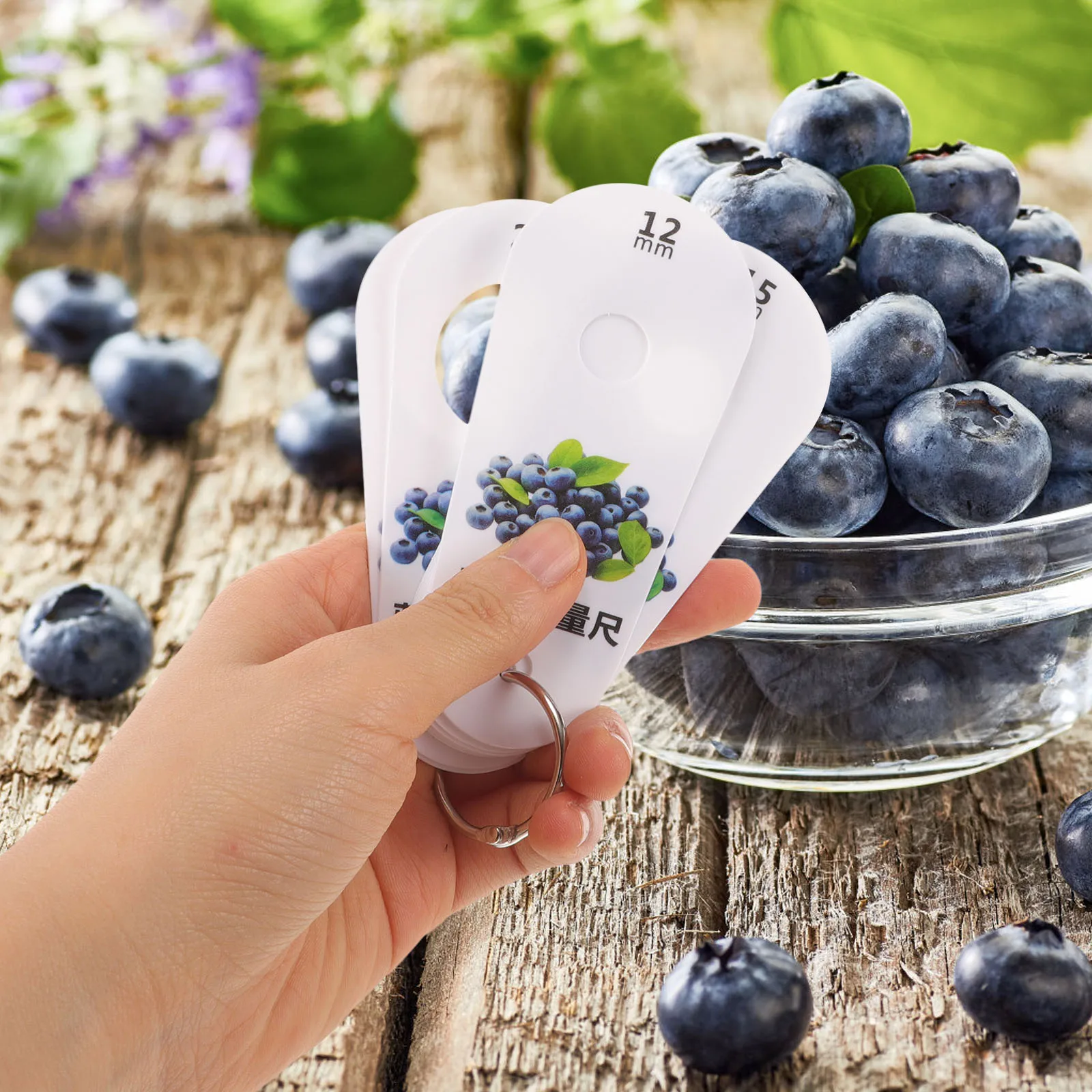 

1 set Blueberry Diameter Measuring Ruler for Fruit Size Classification Suitable Blueberries Cherries Easy Plastic Durable
