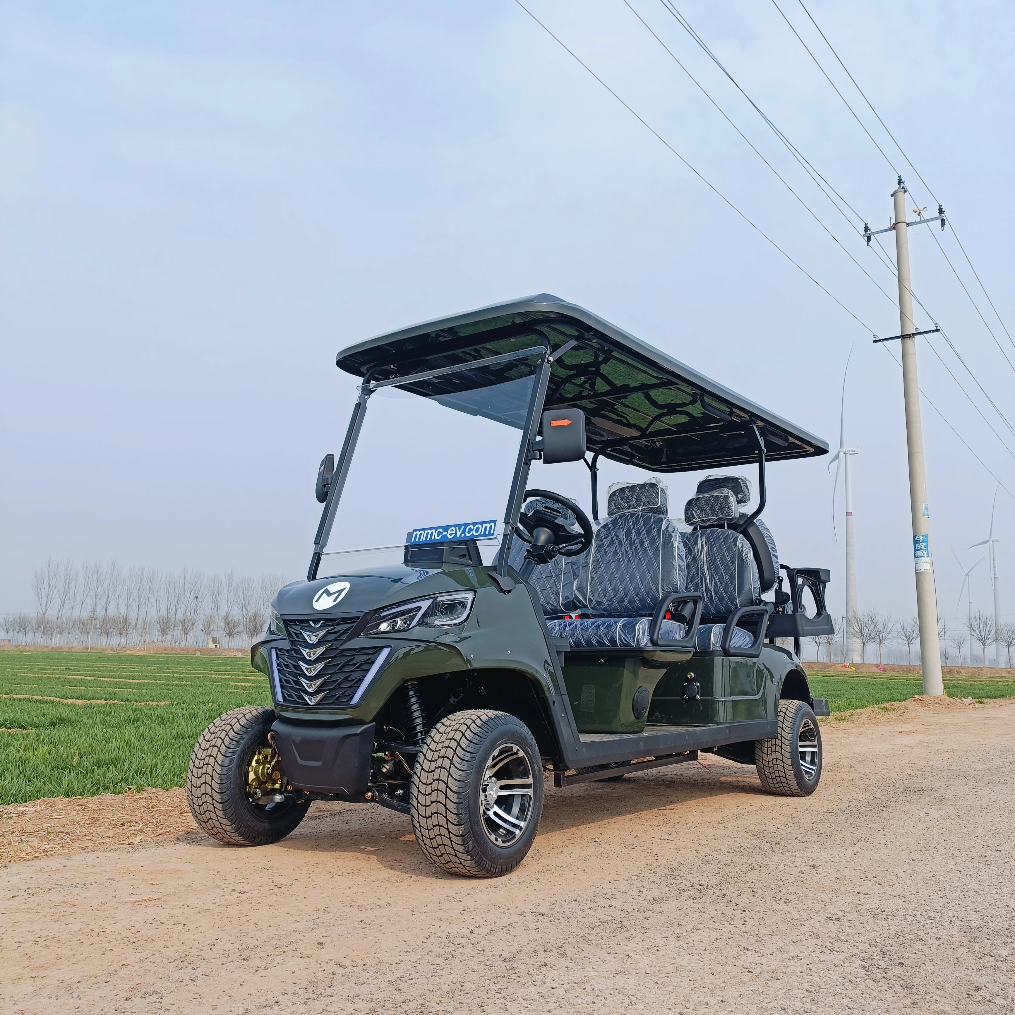 4 Seater Reception Shuttle Electric Sightseeing Bus Off Road Tire Low-Speed Golf Cart with Custom Colors