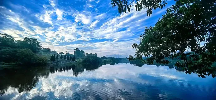 

T-HOBBYT-MOTOR AM116A ESC for FIXED WING Helicopter Multi-rotor Quadcopter UAV RC Drones