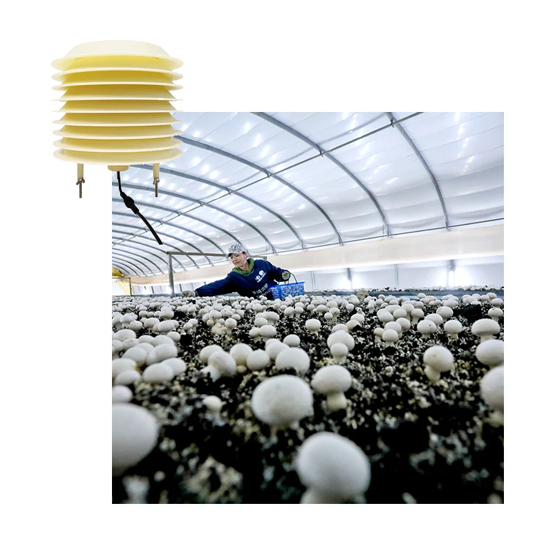 

Multi Parameter Co2 O2 Nh3 Humidity H2S Ch4 Gas Sensor Detects Gas Parameters In Mushroom Greenhouses