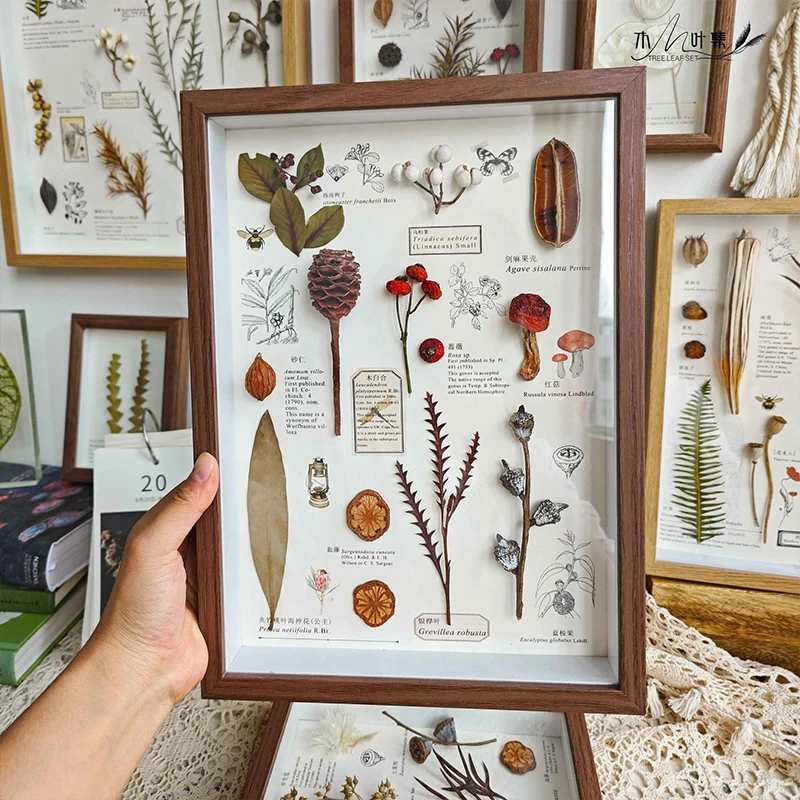 3D Photo Frame Depth 5cm Shadow Box Dried Flower Shells Specimen Handmade DIY Crafts Display Picture Frame Home Decor Wall Frame