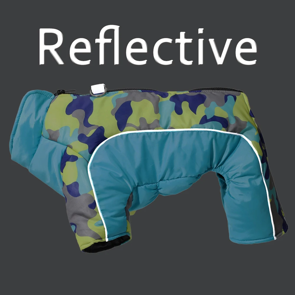 Thumbnail 2 - #12 Latest Puppy Jumpers Offers