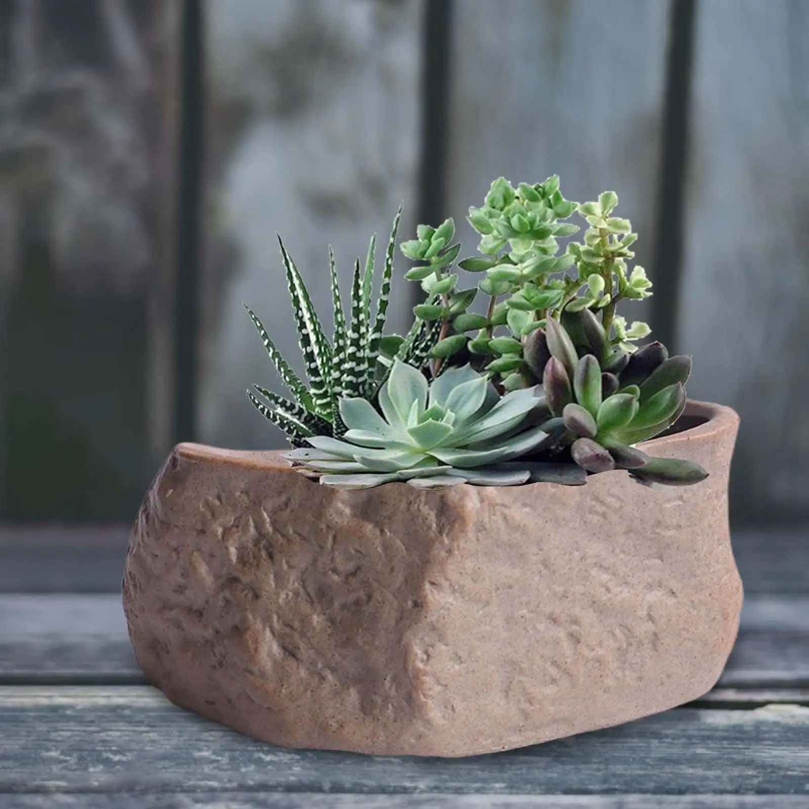 Ceramic Succulent Pot with Drainage Hole Cactus Plant Containers Plants Growing Pot for Tabletop Party Patios Holiday Home