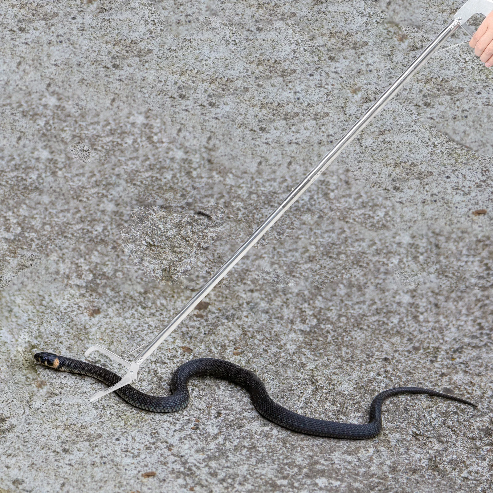 

Stainless Steel Snake Catcher Clip Tool Tongs for Camping Home Durable Snake Grabber Stick 2025 New Simple Design