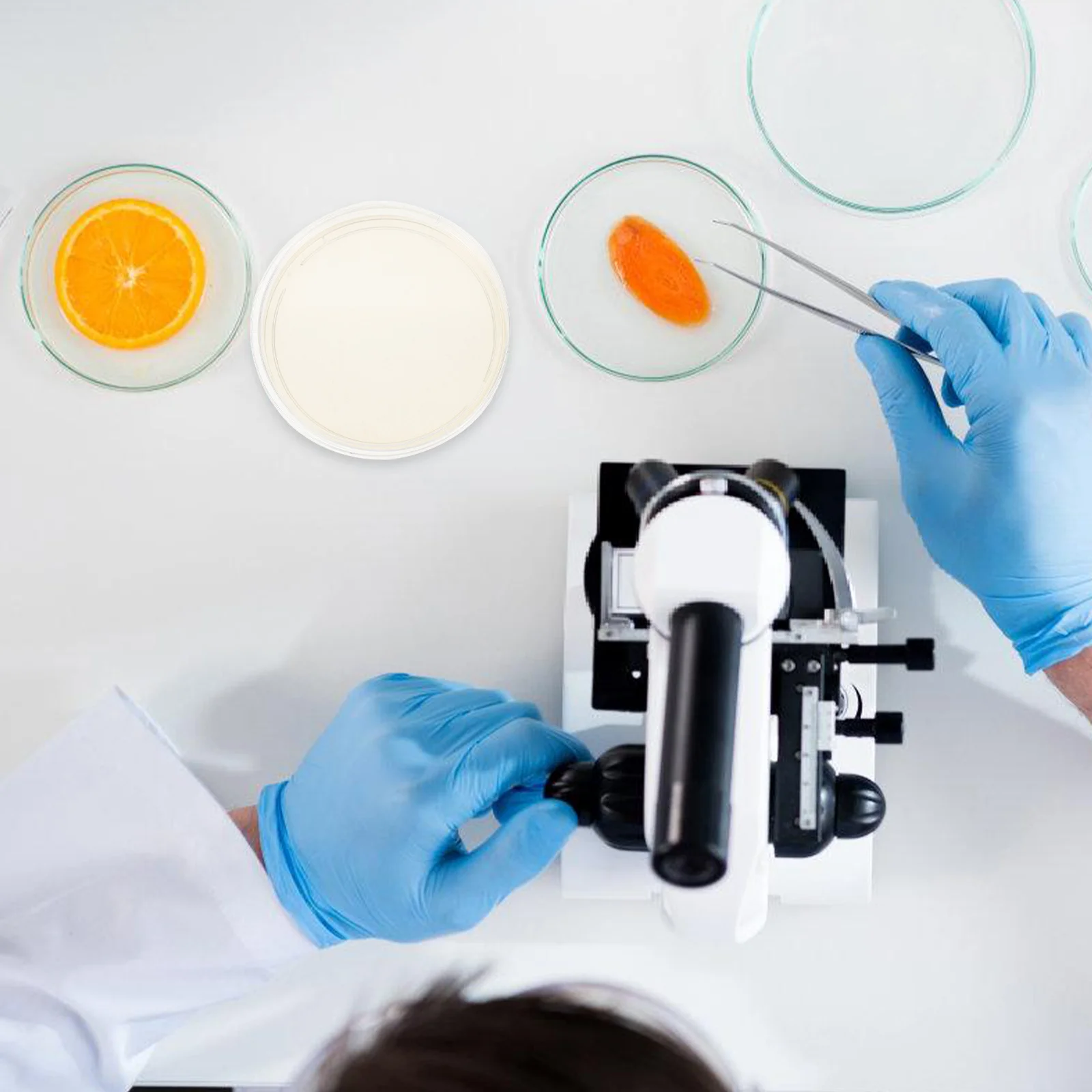 أطباق بتري مع أجار 10 قطعة 9 سنتيمتر لوحات الثقافة المجهزة مسبقًا لمشاريع معرض العلوم تجربة لوازم مجموعة معدات المختبرات #3