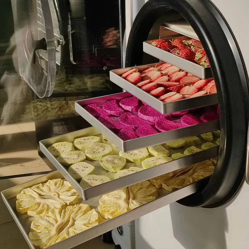 Professional Commercial Wireless Remote Control HFD-5S 4KG 6KG Small Mini Food Vacuum Freeze Dryer For Home Use