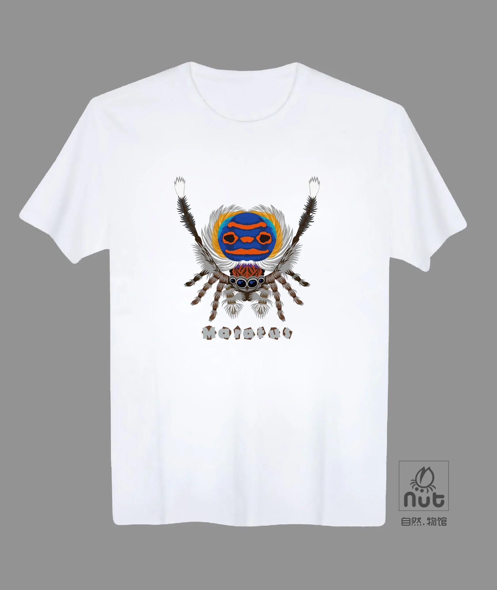 Maratus Volans Prined Insect Spider Lovers Gift T Shirt. Short Sleeve 100% Cotton Casual T-shirts Loose Top Size S-3XL