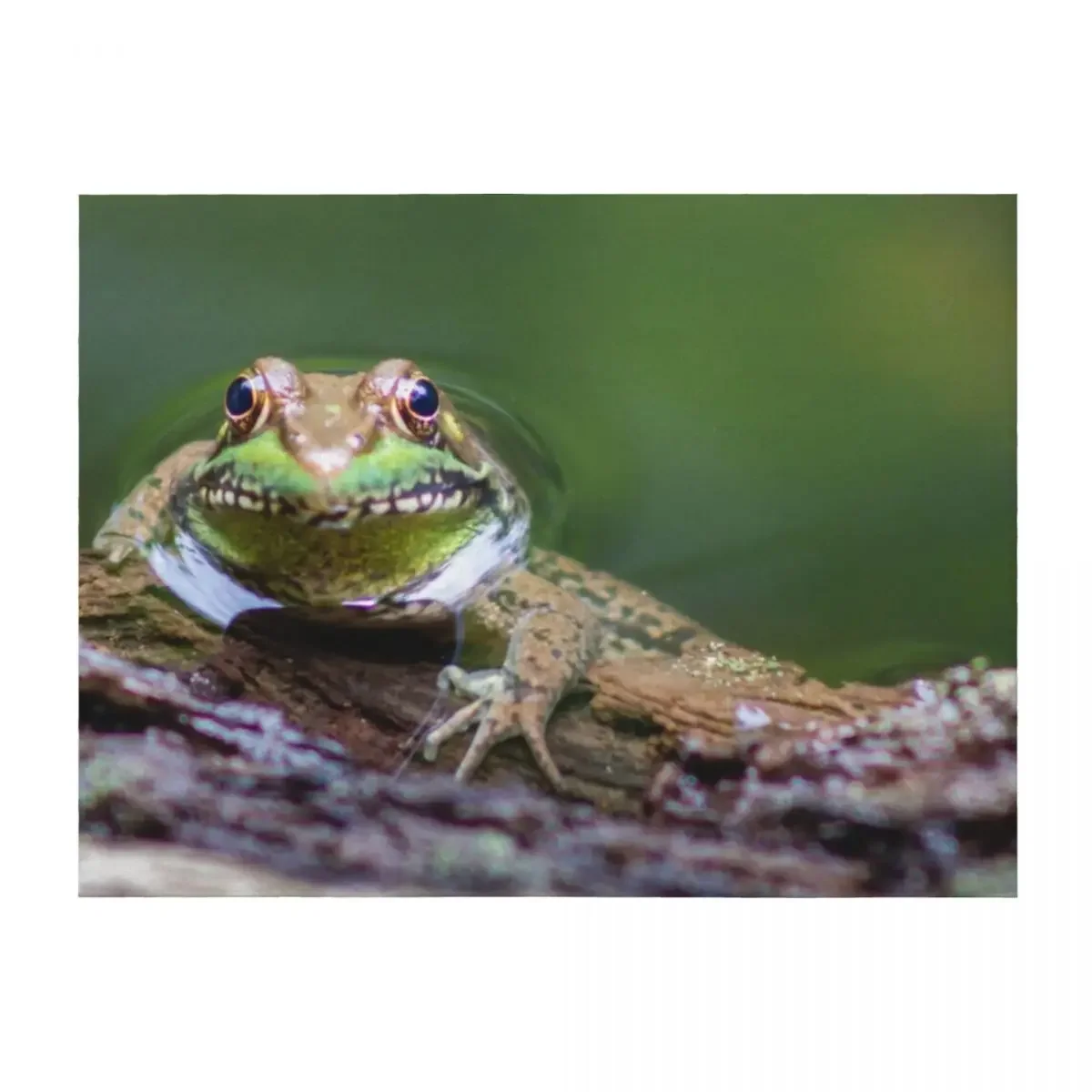 

A Green Frog Relaxing in the Water Throw Blanket halloween funny gift Large Thermal Blankets