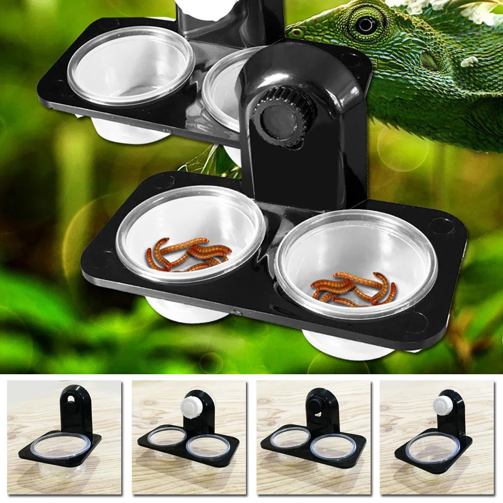 

1pcs Reptile Tank Insect Spider Ants-Nest Snake Gecko Food Water Feeding Bowl Breeding Feeders Box Pets Supplies Feedings Parts