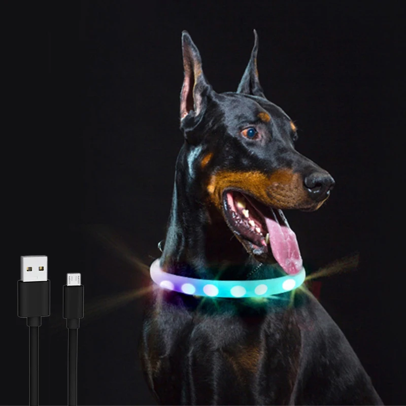 Collare per cani a LED scolorito con ricarica USB Collare luminoso di sicurezza notturno con luce fredda per cani Collana luminosa media di razza