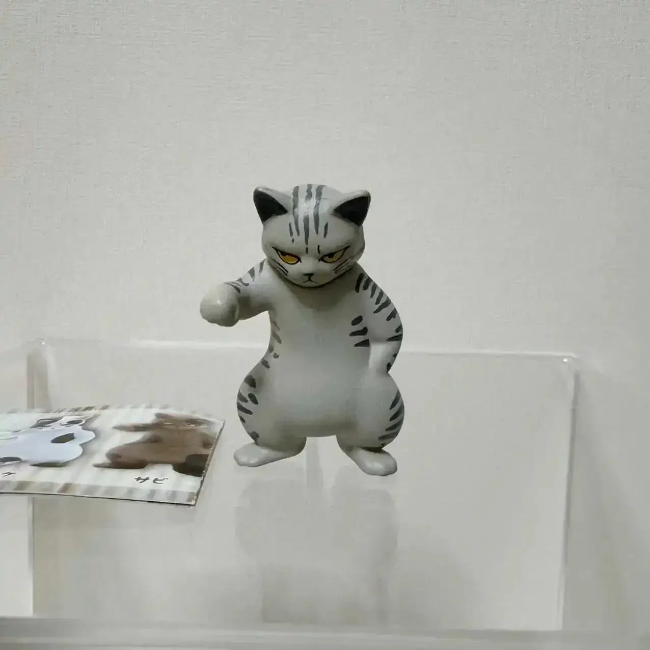 Sociale Punk Kat Schaalmodel Een Kat Met Een Felle Oog Tafelblad Decoratie Action Figure Speelgoed Nieuw