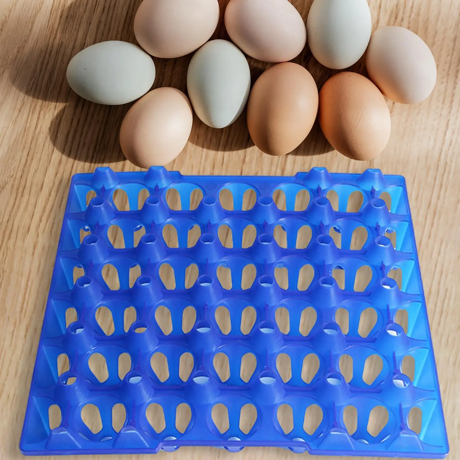 30 Grids Long Distance Transport Plastic Egg Holders Transfer of Egg Pallets Dedicated for Hatching Tray Farm Egg Container