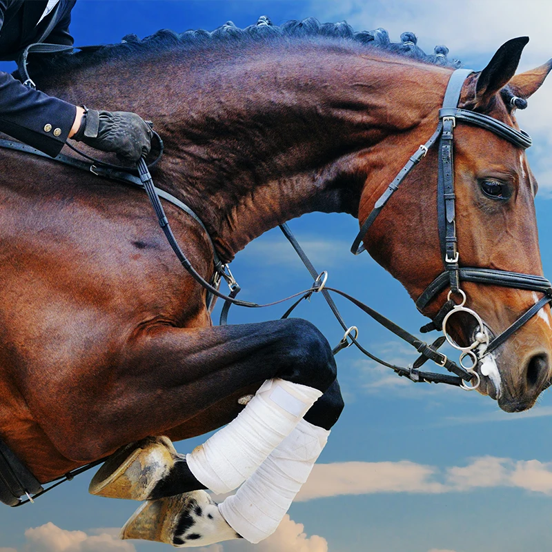 Leather reins Wear-resistant anti-skid belt Anti-skid joint Riding reins Pull rope Saddle accessories Equipment Equestria