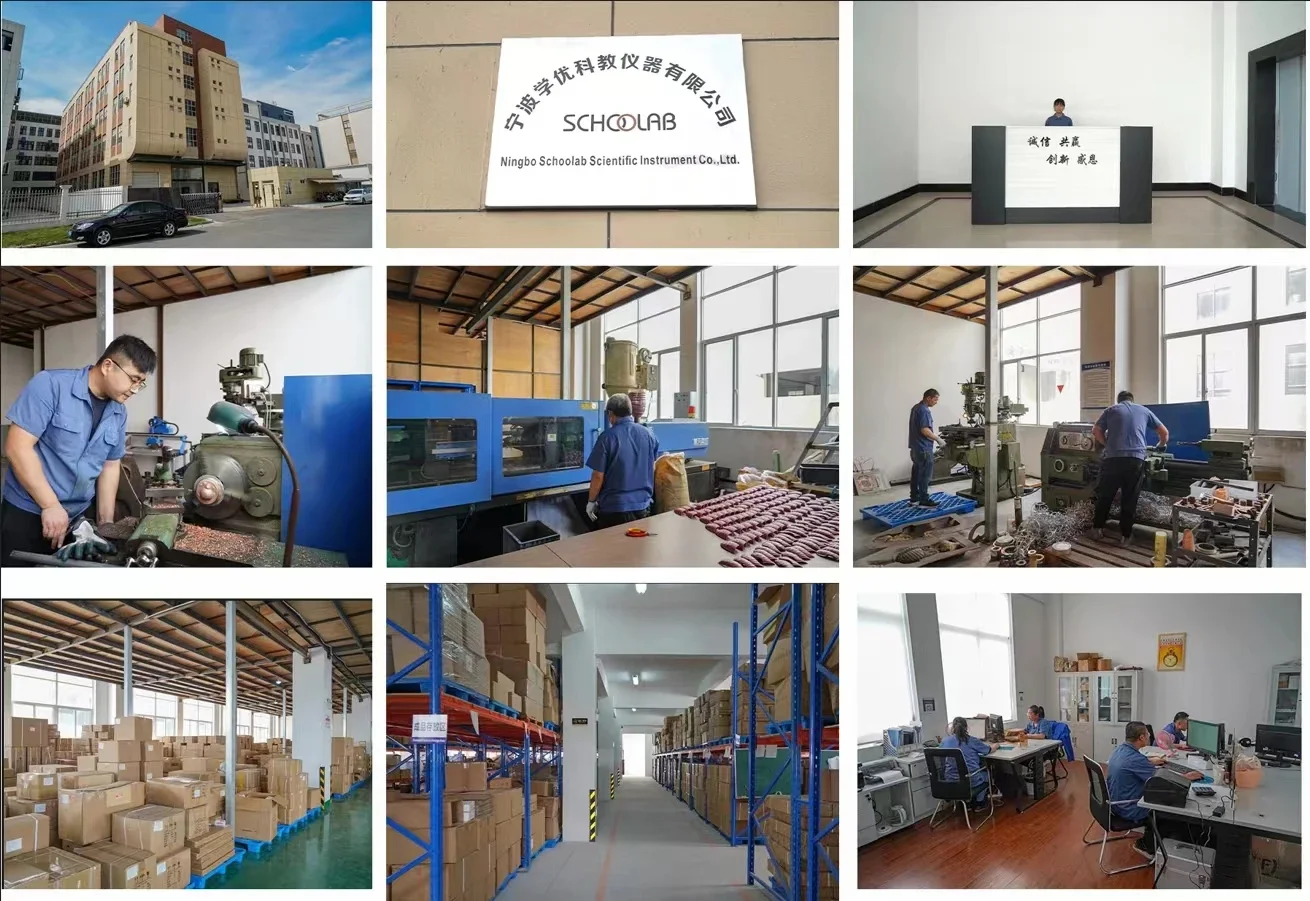 20cm Magnetic Levitation Globe factory
