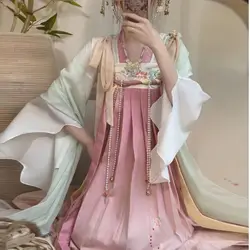 Chinese Style Women Elegant Hanfu Dresses Ancient Traditional Tang Dynasty Princess Stage Party Costumes Floral Print Fairy Sets