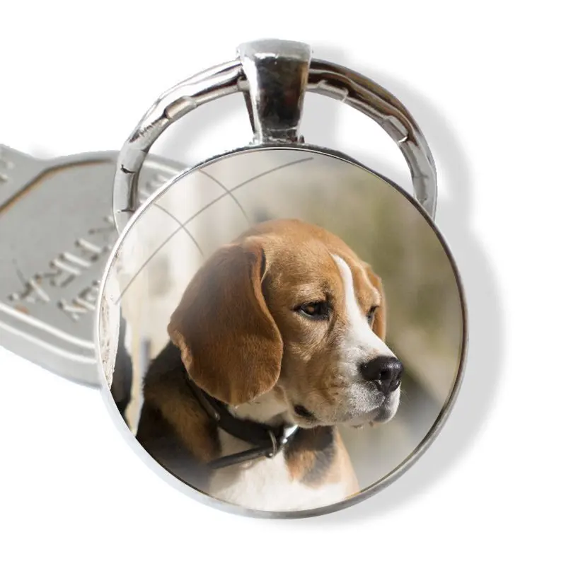 25mm Glass Cabohcon Keychain Key Rings for Women Men Jewelry Gift sweet beagles puppies Loyal Dog