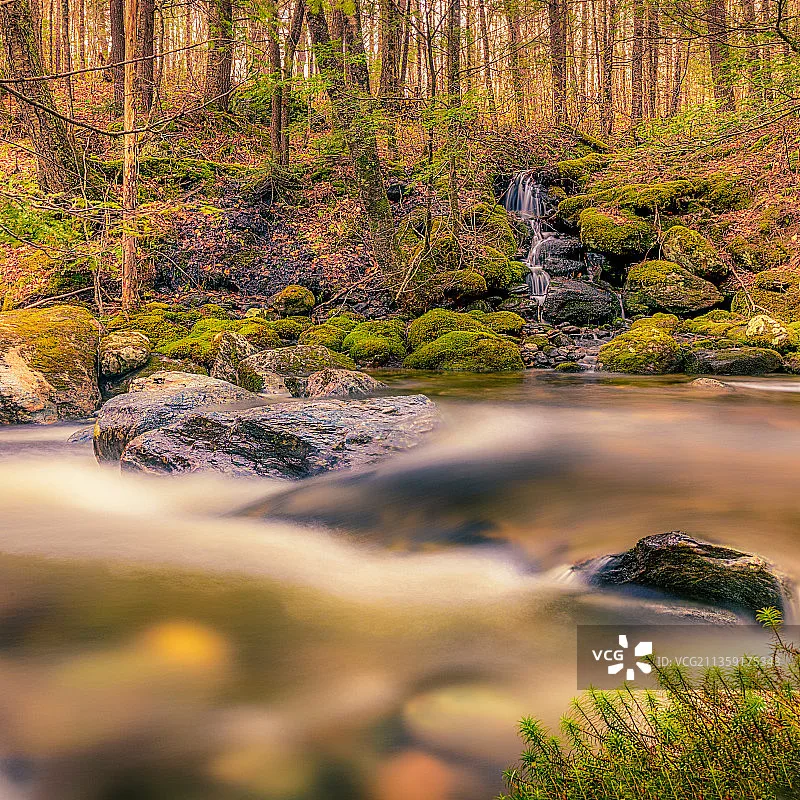 RunCam متوافق مع DJI O3 واجهة هوائي مزدوج 170 مللي متر 210 مللي متر ل DJI O3 وحدة الهواء FPV VTX الطائرة بدون طيار كوادكوبتر حرة RC أجزاء