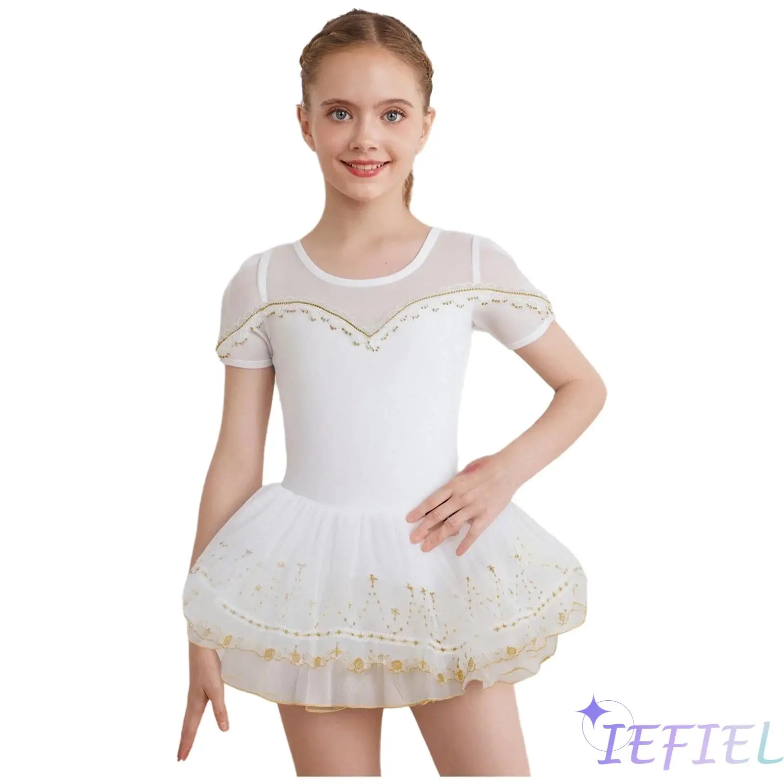 

Kids Girls Ballet Professional Competition Performance Costume Sheer Mesh Patchwork Lace Trim Embroidery Hem Tutu Dance Dress