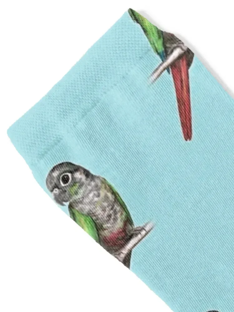 Green-cheeked conure Socks hockey heated Rugby Socks Women's Men's