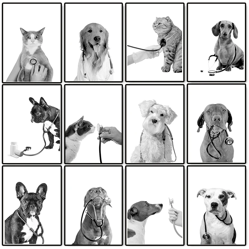 Animal Doctor Vet Med Poster Dogs Cats with Stethoscopes Canvas Painting Wall Art Veterinary Office Animals Clinic Decor Mura