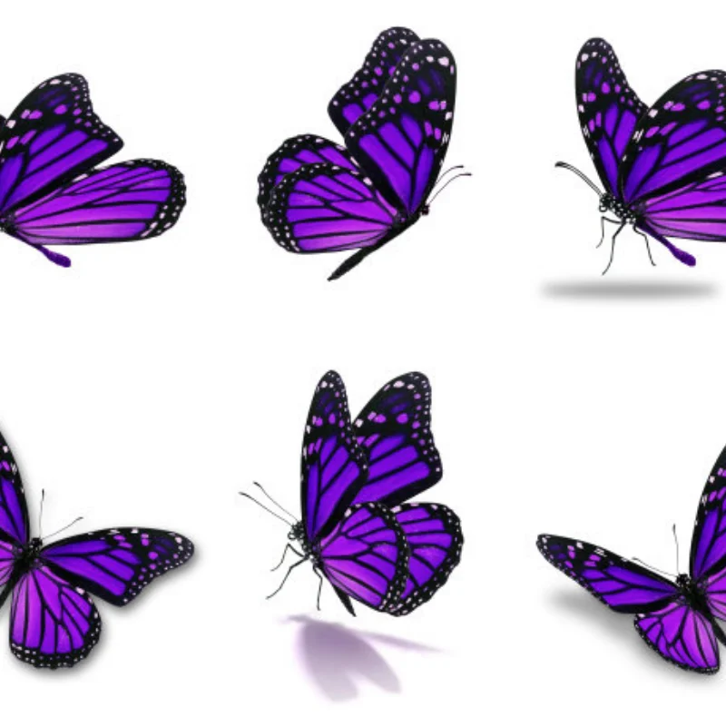 

Рама кузова автомобиля на радиоуправлении, колесная база 260 мм, система вождения 4WD 4WD для 1/10, детали гоночного автомобиля, обновления, аксессуары