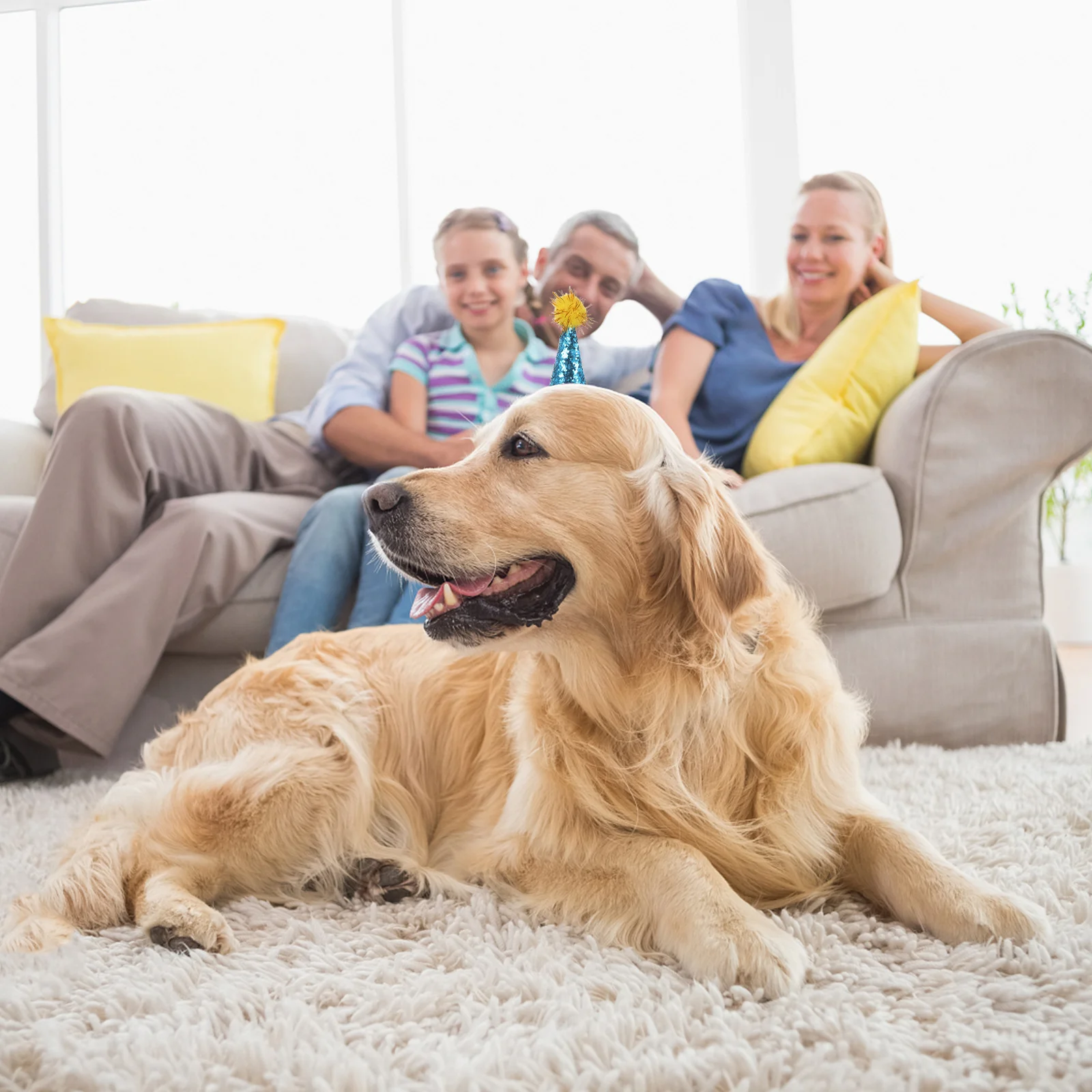 

10Pcs Pet Birthday Hat Cone Shape with Pompom Small Dog Cat Birthday Party Caps Adjustable Comfortable Pet Hats