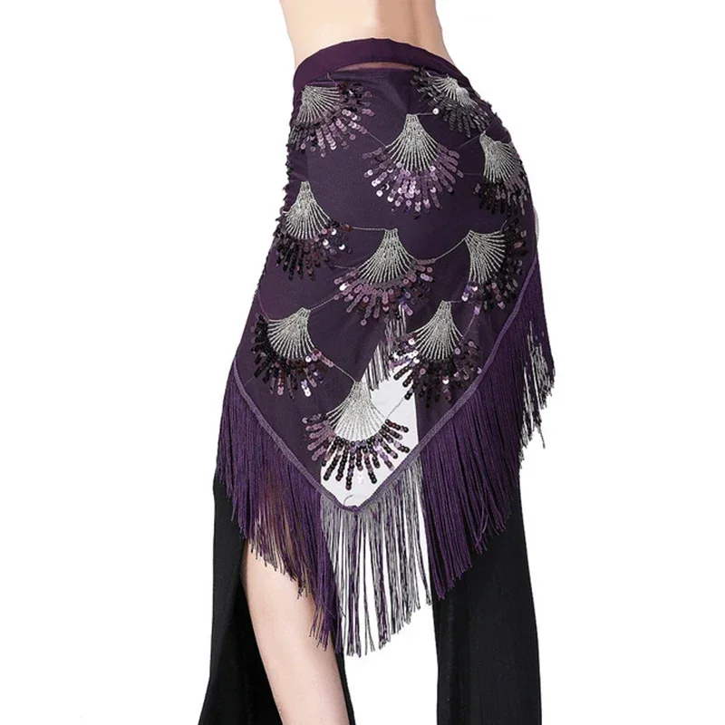 Belly dance suit black mesh base long tassel triangle sequin waistband vest
