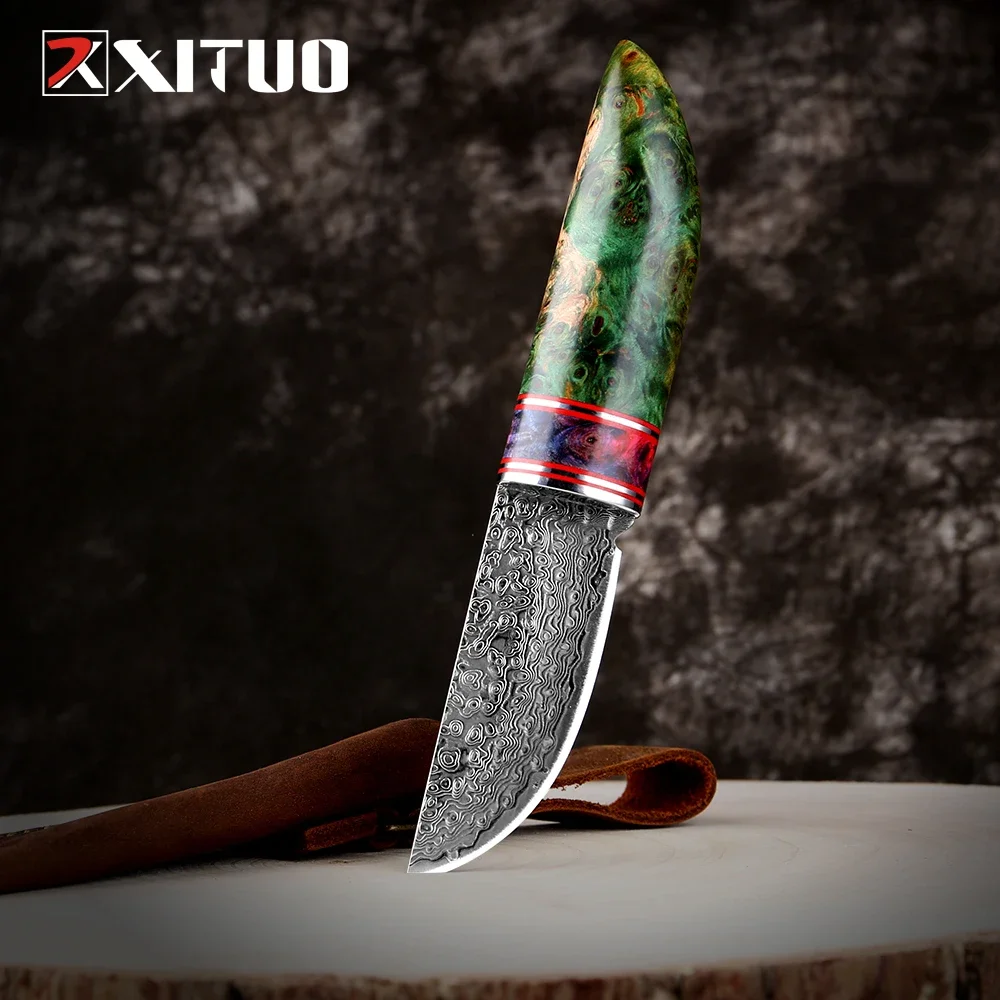 

XITUO Damascus Steel Fruit Knife Camping Barbecue Cutting Knife Household Paring Knife Stable Wooden Handle with Cowhide Sheath