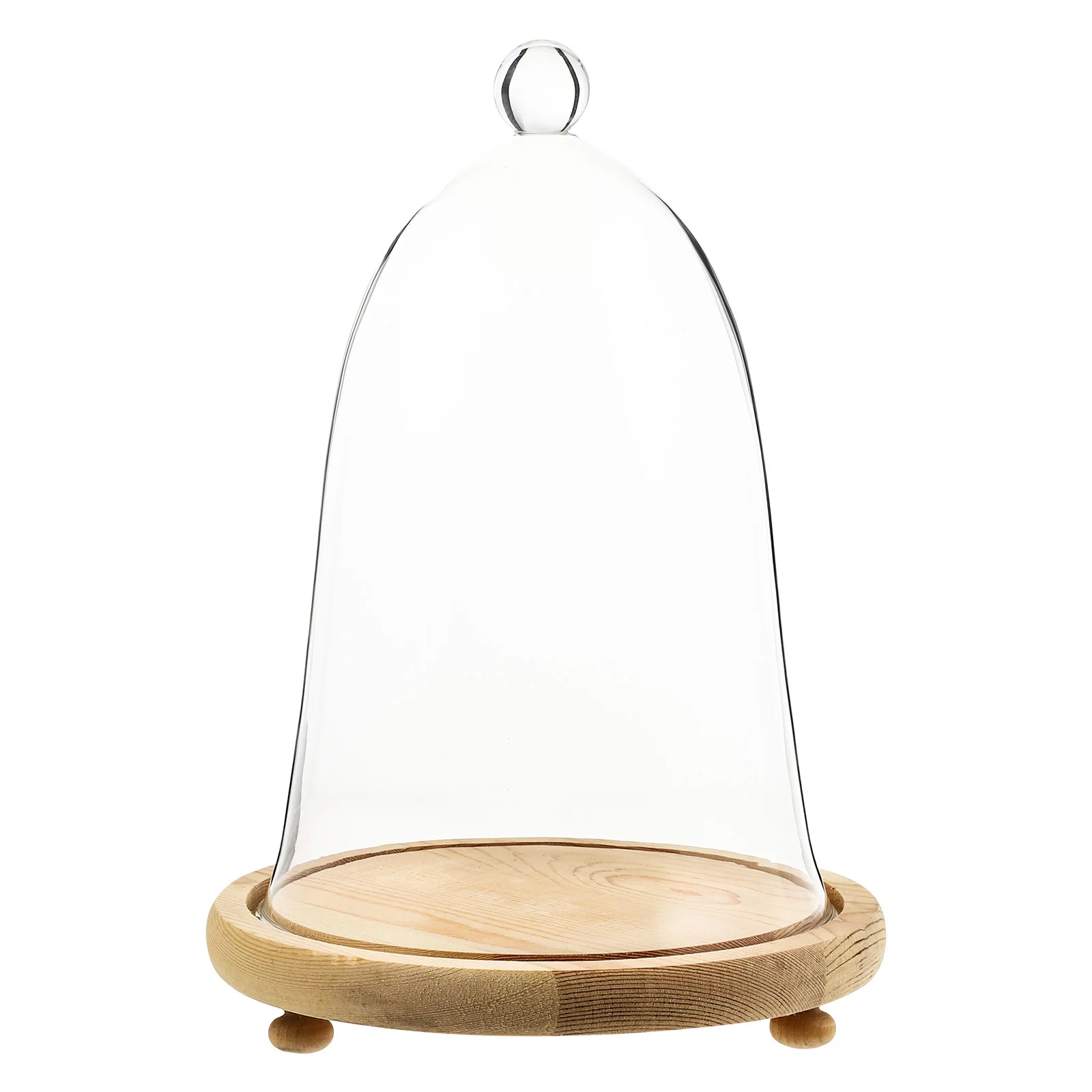 

1Set Preserved Flower Glass Cover Creative Warm Design for Bedroom Living Room Study Office Decor Display Dried Flowers Micro