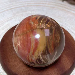 Natural Crystals Petrified Wood Sphere Energy Ornament Mineral Ore Healing High Quality Home Decorations Room Decro Gift