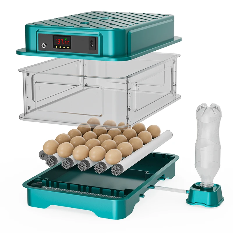 Fully Automatic  Chicken Quail Duck Goose Pigeon Egg Incubator 220V/110V/12V 24 Egg Hatching Incubator Machine view 4