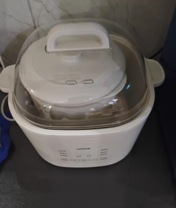 

220V lotor Electric Steamer Ceramic Slow Cooker Automatic Soup Pot for Home Use AC