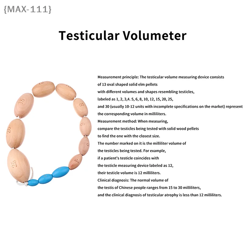 

【F2-MAX111】12 Size Wooden Orchidometer Testis Volume Meter - Measurement Tool for Testis Size Male Tanner Stage Medical Educatio