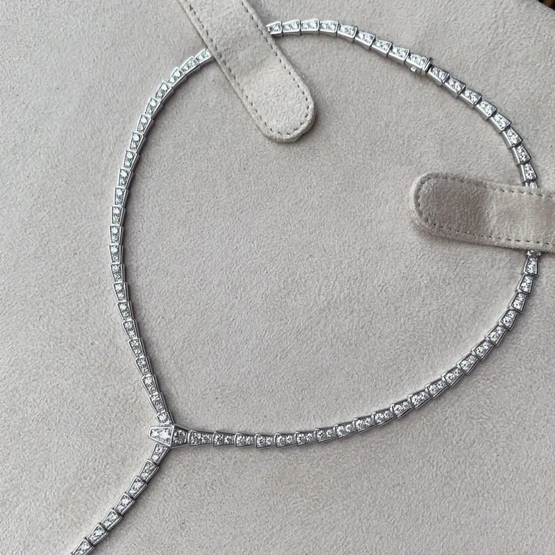 SFE 925 Sterling Silver High Quality Fashion Exquisite Snake Bone Necklace Women'S Quality Collarbone Collar Luxury Jewelry