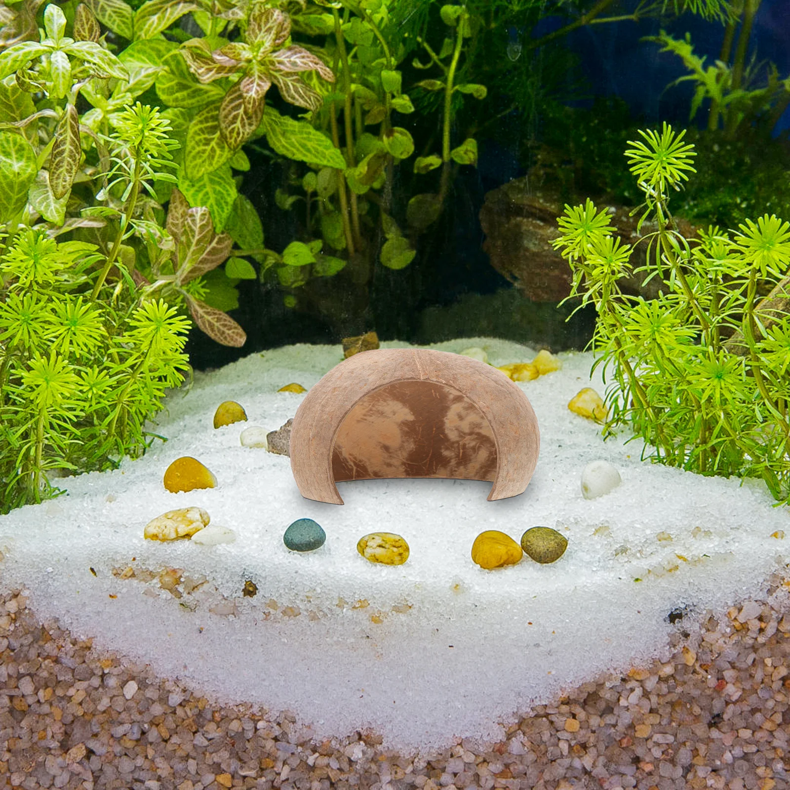 

2Pcs Fish Tank Coconut Shell Shelter Aquarium Shrimp Hiding Cave Reptile Turtle Rest Hut Snail Climber Breeding Habitat