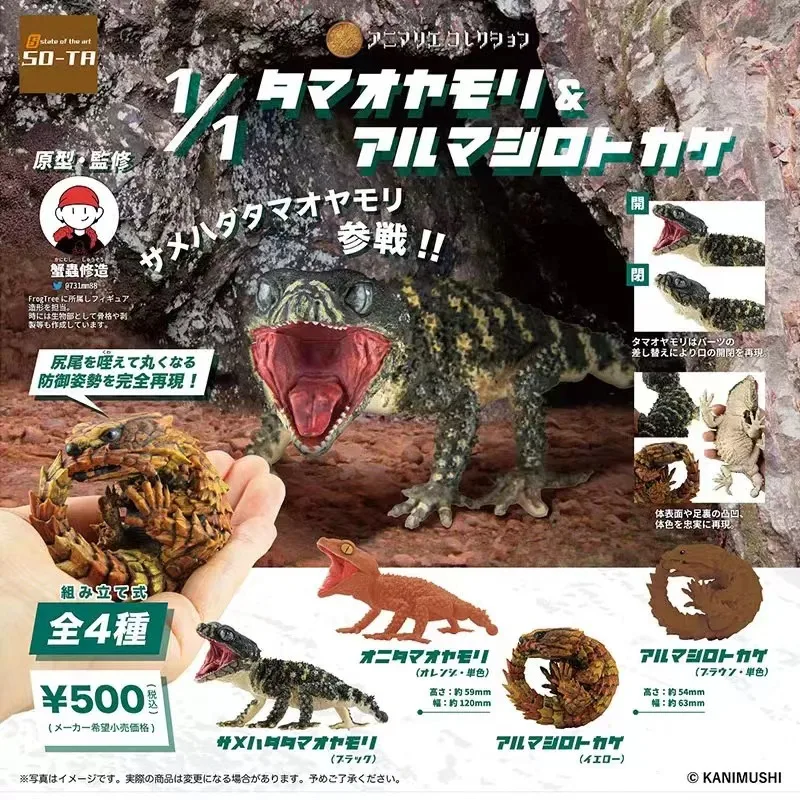 

Genuine Gacha Figure Small Scale Model Armadillo Girdled Lizard Cordylus cataphractus Nephrurus Levis Action Figure Model Toys